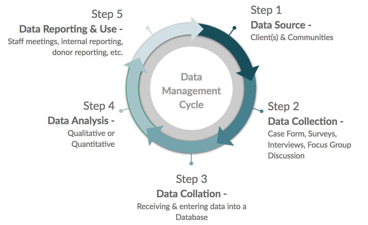 Default collation. Data quality Management перевод. Data Analysis steps. Data reporting. Collation.